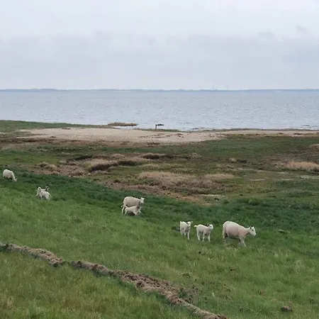 Prázdninový dům Seaside Charm In Havneby *